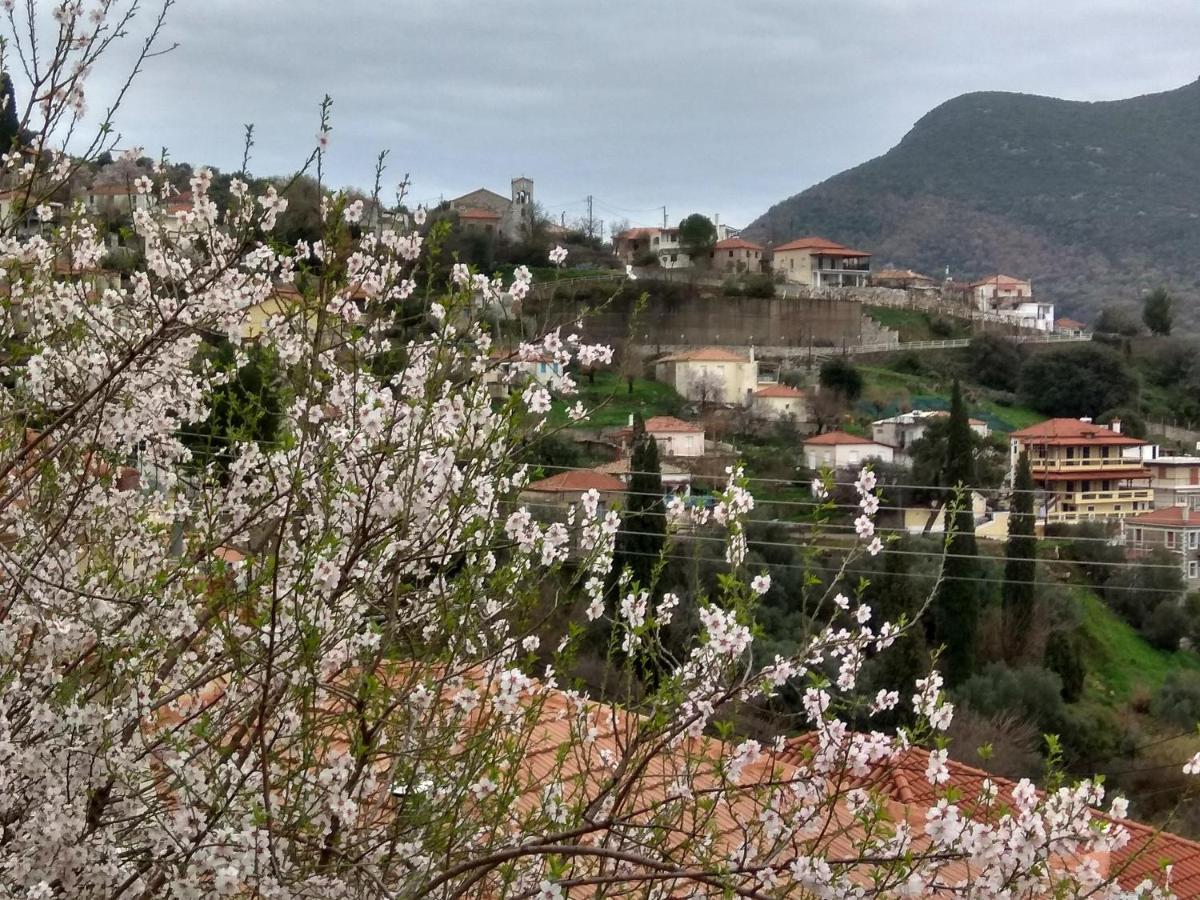 Vintage House With A Fantastic View Apartment Mavrommation Bagian luar foto